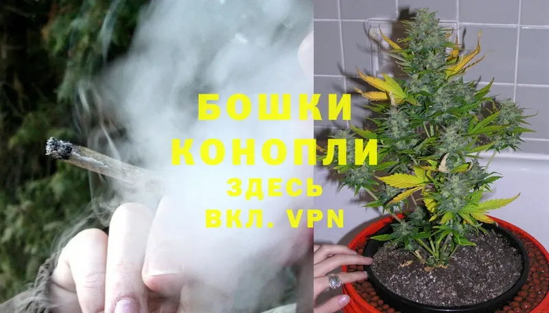 площадка какой сайт  Советск  Шишки марихуана White Widow  как найти закладки 